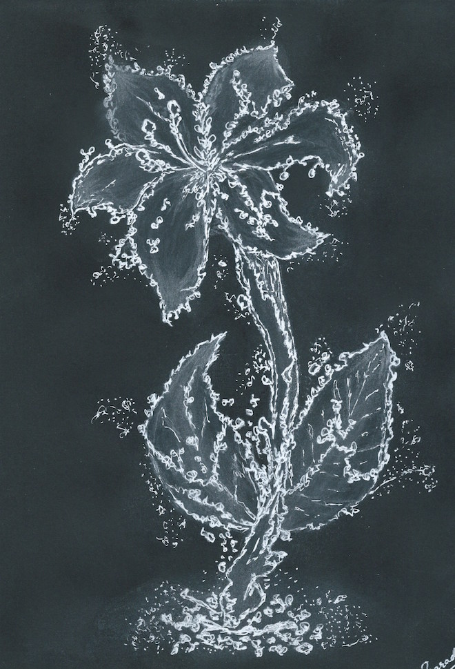 Water Flower
