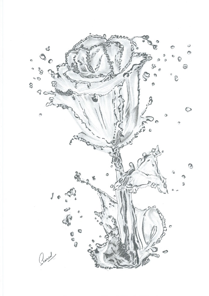Water rose