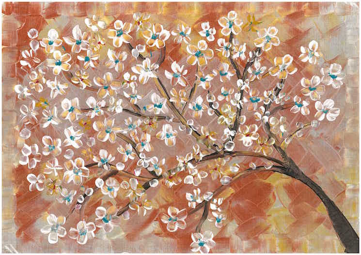 White cherry tree blossom