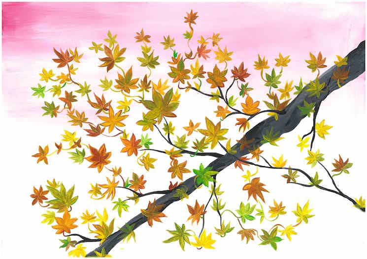 Autumn leaves tree branch