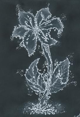 Water Flower