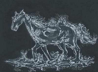 Black water horse