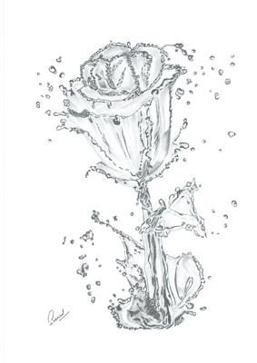 Water rose
